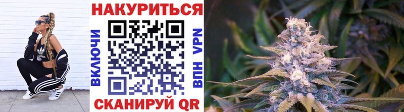 Где купить наркотики Кыштым ГАШ  Бошки Шишки  KRAKEN ONION  Меф мяу мяу 