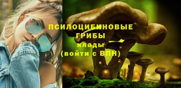 гидропоника Аркадак