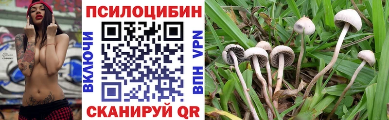 Псилоцибиновые грибы мицелий  Кыштым 
