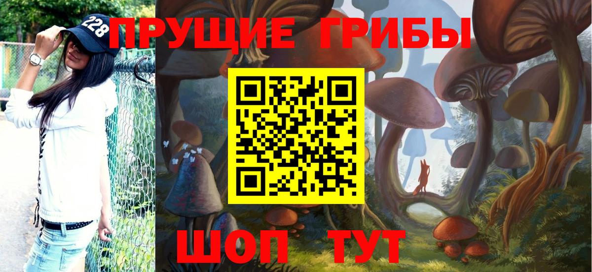 Псилоцибиновые грибы MAGIC MUSHROOMS Кыштым